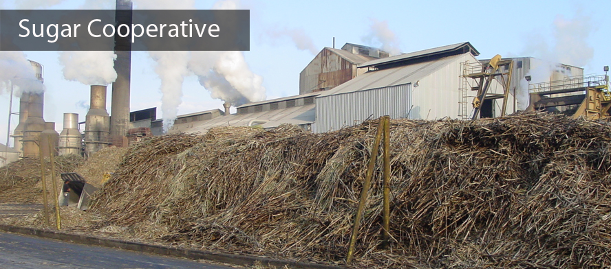Sugar Cooperative Society
